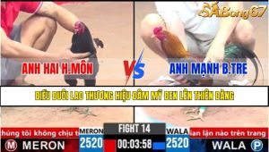 Trận 14 CPC3 4/4/2025