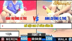 Trận 14 CPC3 6/4/2025