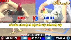 TRẬN 15 CPC1 17/4/2025