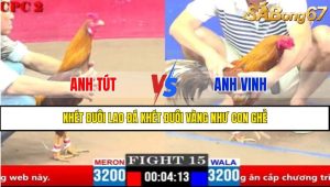 Trận 15 CPC1 2/4/2025