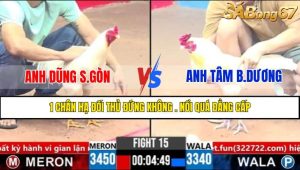 Trận 15 CPC3 1/4/2025