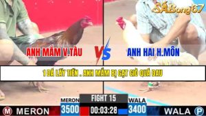 Trận 15 CPC3 11/4/2025