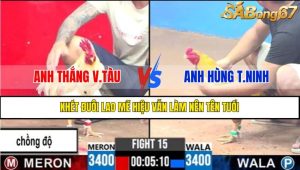 TRẬN 15 CPC3 16/4/2025