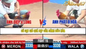 Trận 15 CPC3 2/4/2025