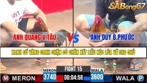 TRẬN 15 CPC3 25/4/2025
