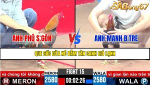 Trận 15 CPC3 4/4/2025