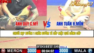 TRẬN 16 CPC1 19/4/2025
