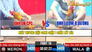 Trận 16 CPC3 1/4/2025