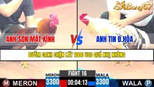 Trận 16 CPC3 11/4/2025