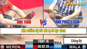 Trận 16 CPC3 12/4/2025