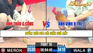 TRẬN 16 CPC3 16/4/2025