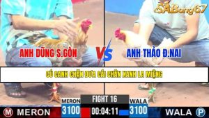 TRẬN 16 CPC3 19/4/2025