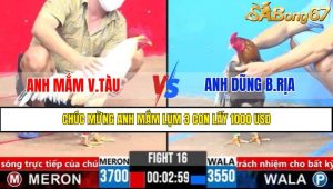 Trận 16 CPC3 2/4/2025
