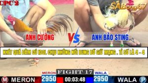 Trận 17 CPC2 11/4/2025
