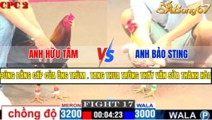 TRẬN 17 CPC2 18/4/2025