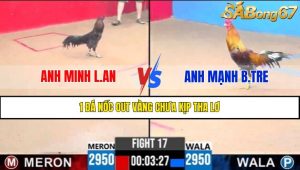 Trận 17 CPC3 12/4/2025