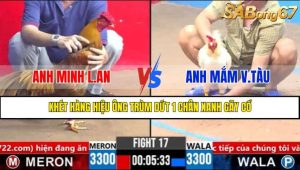 Trận 17 CPC3 2/4/2025