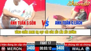 Trận 17 CPC3 3/4/2025