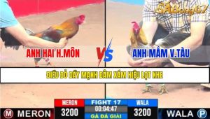 Trận 17 CPC3 9/4/2025