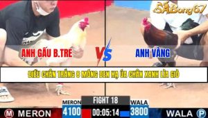 TRẬN 18 CPC3 22/4/2025