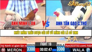 Trận 19 CPC3 1/4/2025