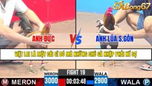 Trận 19 CPC3 12/4/2025