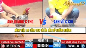 Trận 19 CPC3 2/4/2025