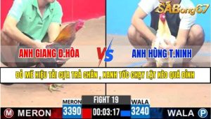 Trận 19 CPC3 8/4/2025