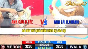 Trận 19 CPC3 9/4/2025