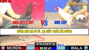 TRẬN 2 CPC1 19/4/2025