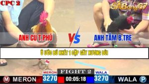 TRẬN 2 CPC2 20/4/2025