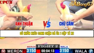 TRẬN 2 CPC2 23/4/2025