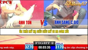 Trận 2 CPC2 4/4/2025