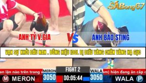 Trận 2 CPC3 1/4/2025