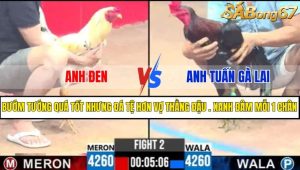 TRẬN 2 CPC3 19/4/2025