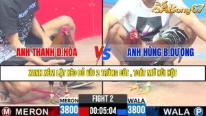 TRẬN 2 CPC3 20/4/2025