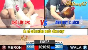 TRẬN 2 CPC3 22/4/2025