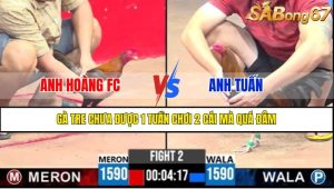 TRẬN 2 CPC3 24/4/2025