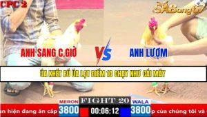 Trận 20 CPC1 2/4/2025