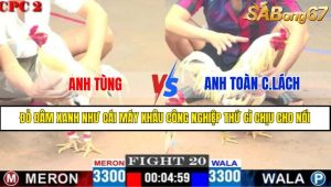 TRẬN 20 CPC2 16/4/2025