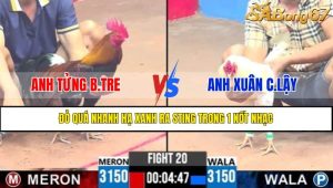 TRẬN 20 CPC3 20/4/2025
