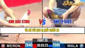 TRẬN 20 CPC3 22/4/2025