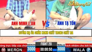 Trận 20 CPC3 3/4/2025