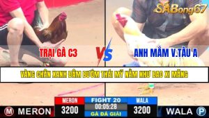 Trận 20 CPC3 9/4/2025