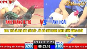 Trận 21 CPC2 4/4/2025