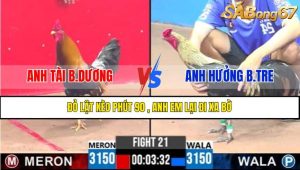 Trận 21 CPC3 14/4/2025