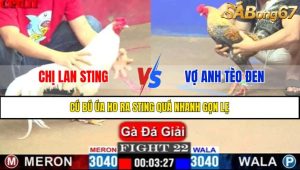 Trận 22 CPC1 10/4/2025