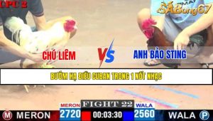 TRẬN 22 CPC2 27/4/2025