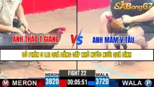 TRẬN 22 CPC3 16/4/2025