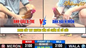 Trận 22 CPC3 9/4/2025